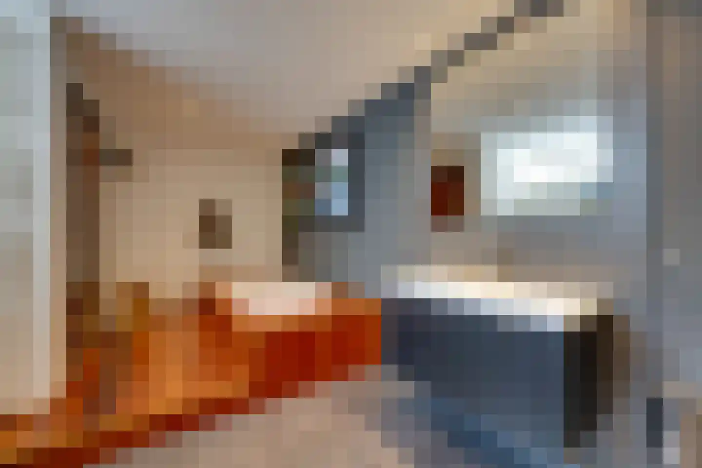 Warder 174 Warder thumbnail 49