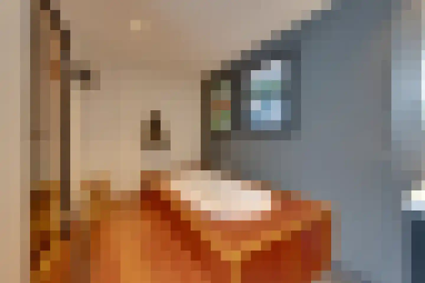 Warder 174 Warder thumbnail 51