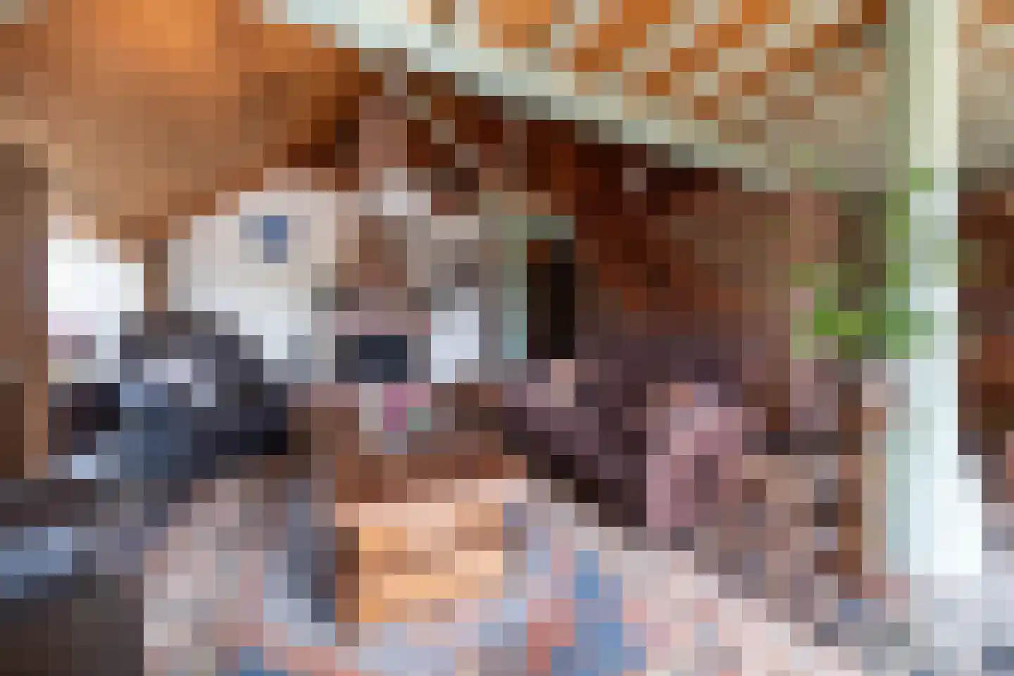 Warder 174 Warder thumbnail 62
