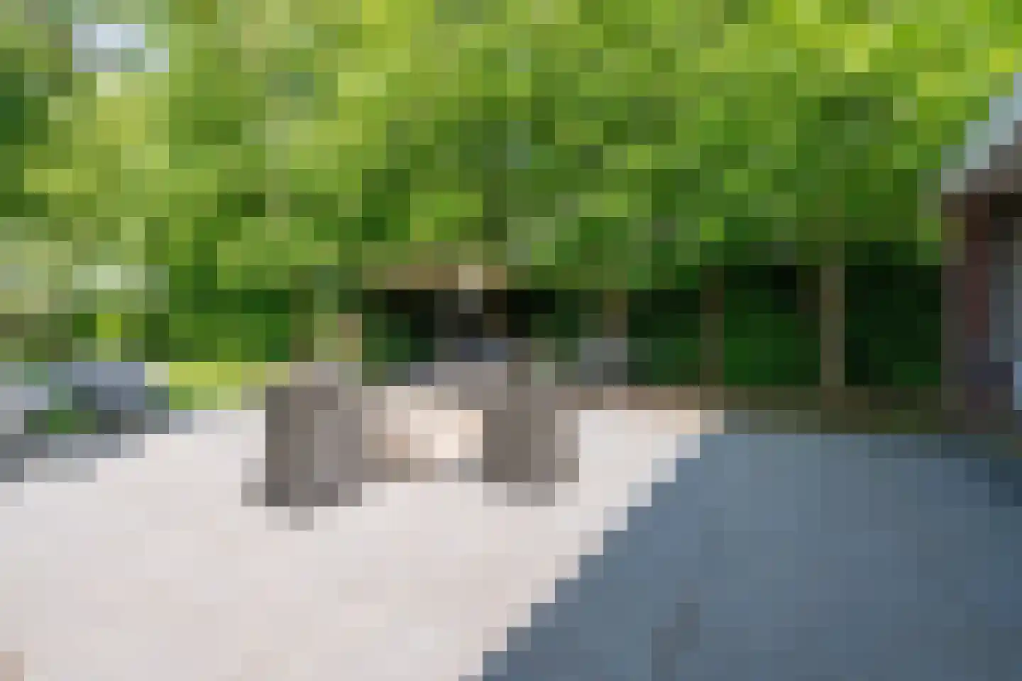 Warder 174 Warder thumbnail 67