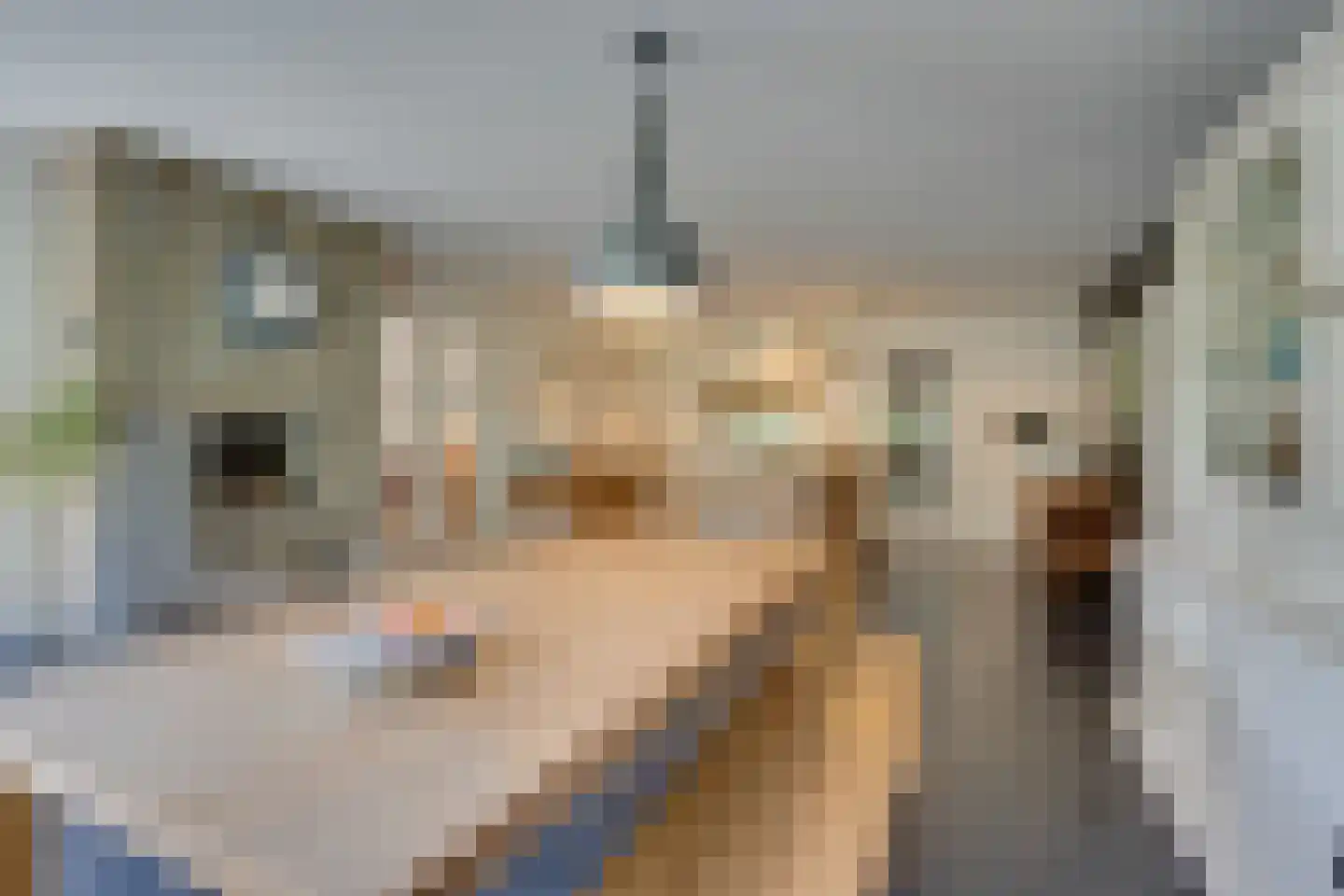 Warder 174 Warder thumbnail 7