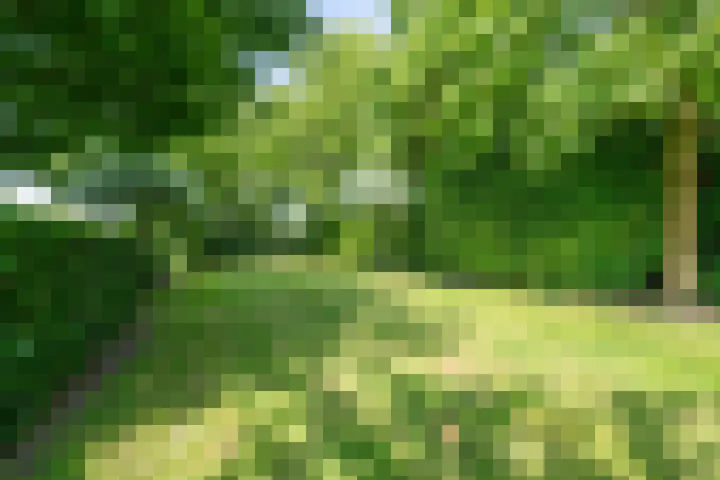 Warder 174 Warder thumbnail 71