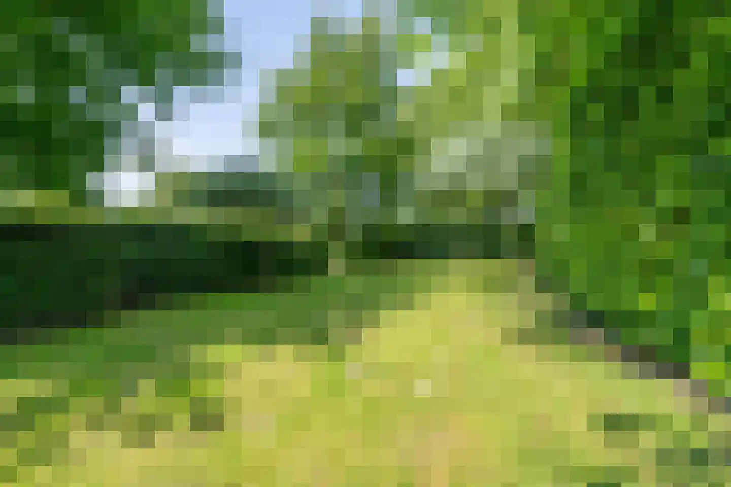 Warder 174 Warder thumbnail 72