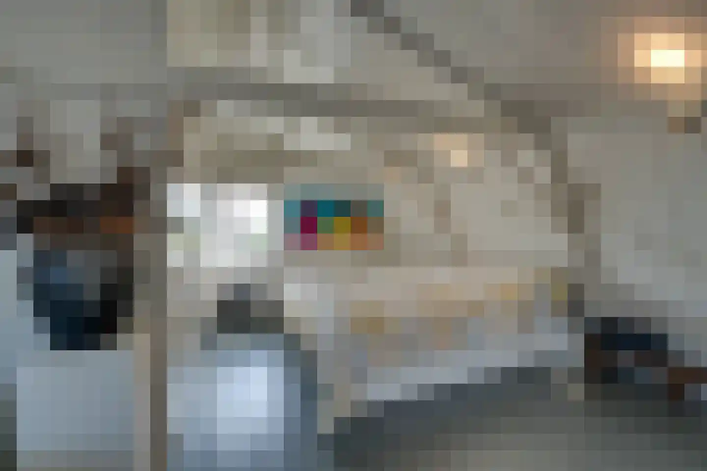 Warder 174 Warder thumbnail 81