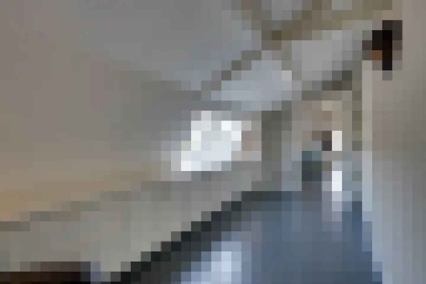 Warder 174 Warder thumbnail 93