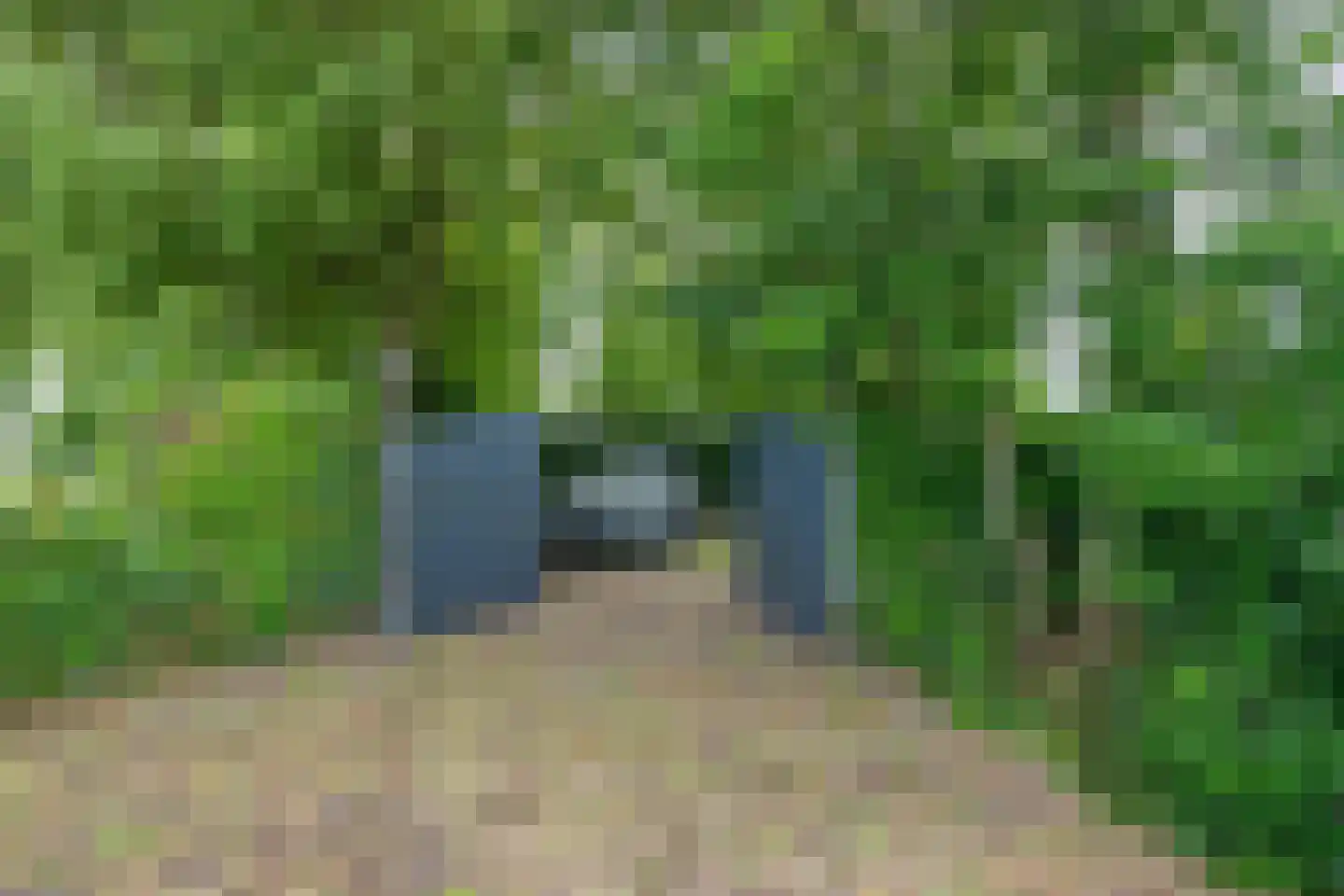 Warder 174 Warder thumbnail 97