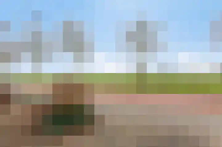 Wardstraat 16 Spijk thumbnail 13