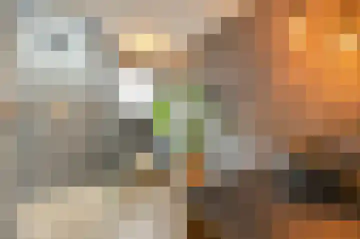 Wardstraat 16 Spijk thumbnail 4