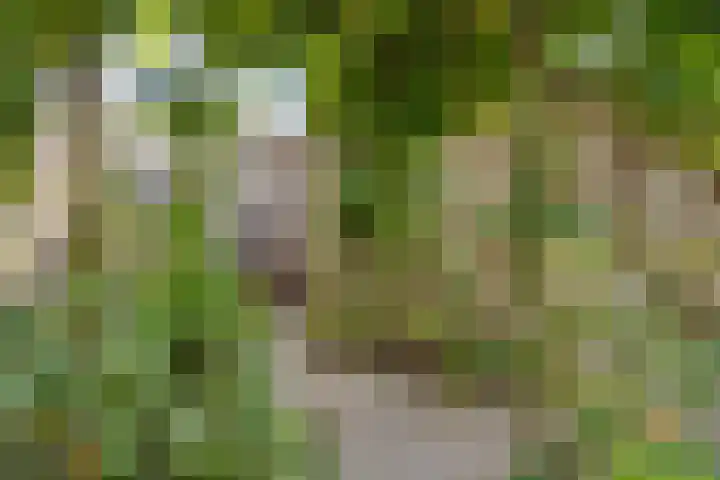 Waregemstraat 9 Amsterdam thumbnail 16