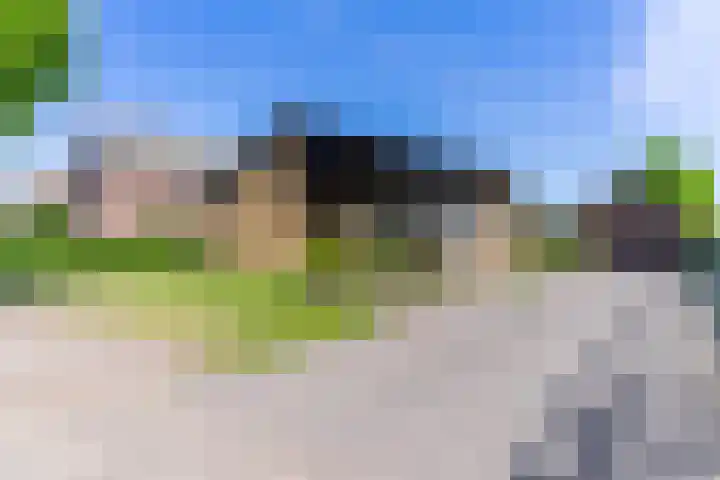 Waregemstraat 9 Amsterdam foto 2