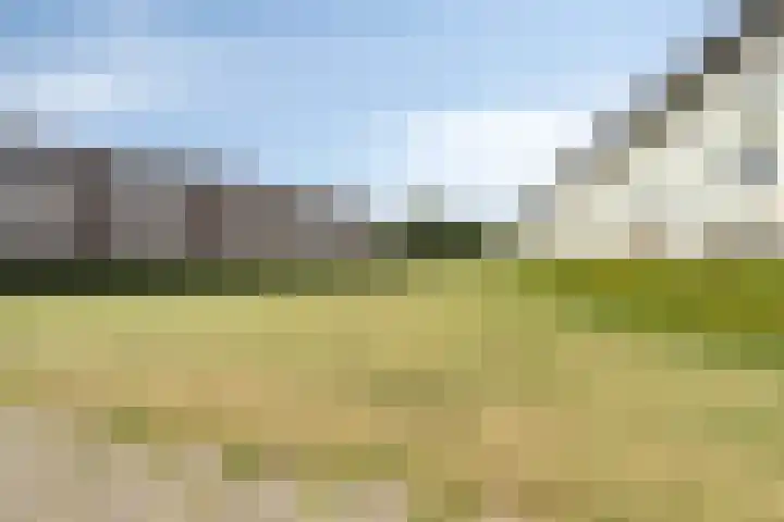 Waregemstraat 9 Amsterdam thumbnail 21