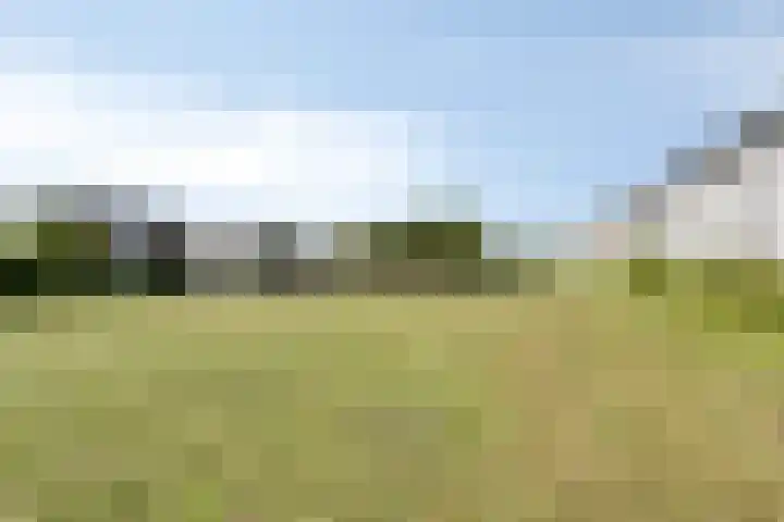 Waregemstraat 9 Amsterdam thumbnail 22