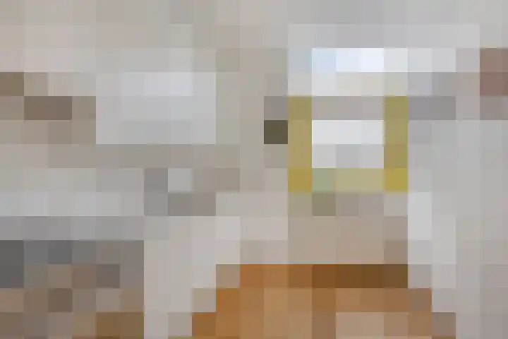 Waregemstraat 9 Amsterdam thumbnail 4