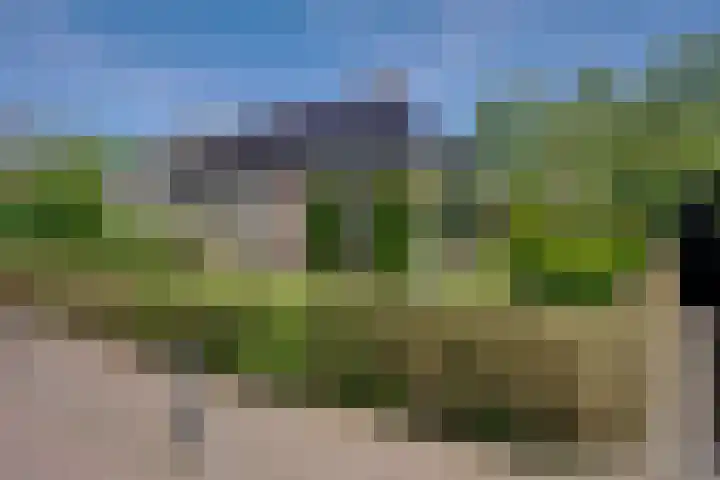 Warffumerweg 35 Onderdendam thumbnail 26