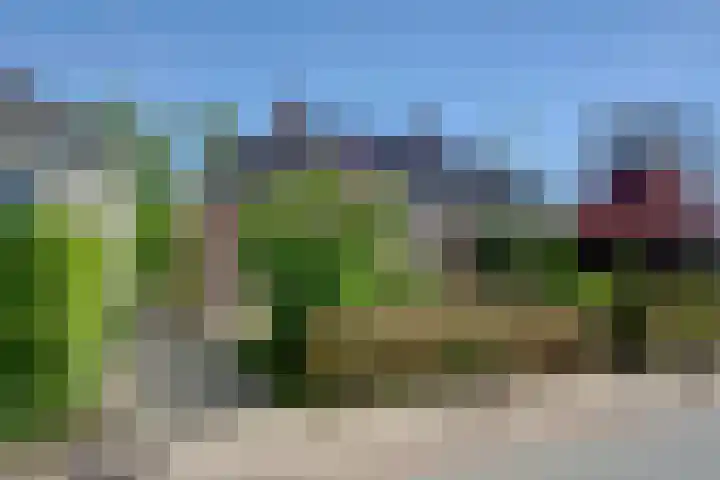 Warffumerweg 35 Onderdendam thumbnail 27