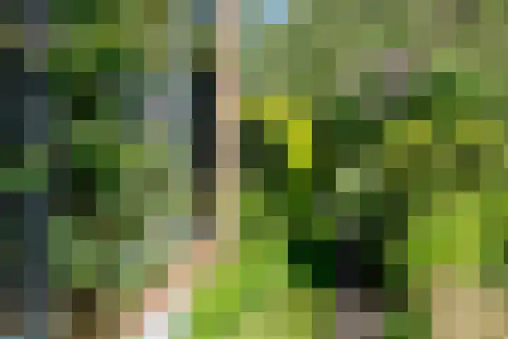 Warffumerweg 35 Onderdendam thumbnail 28