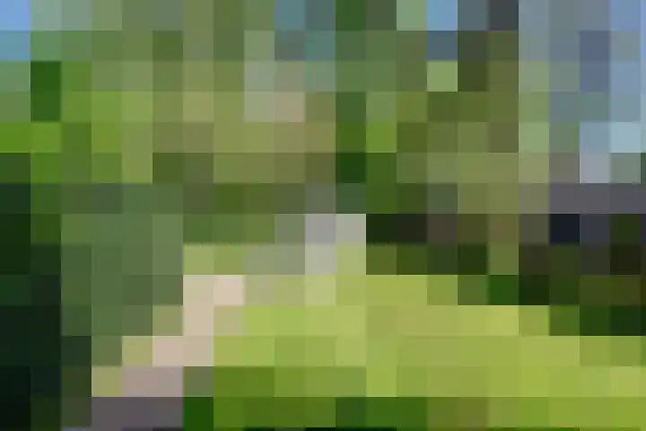Warffumerweg 35 Onderdendam thumbnail 30