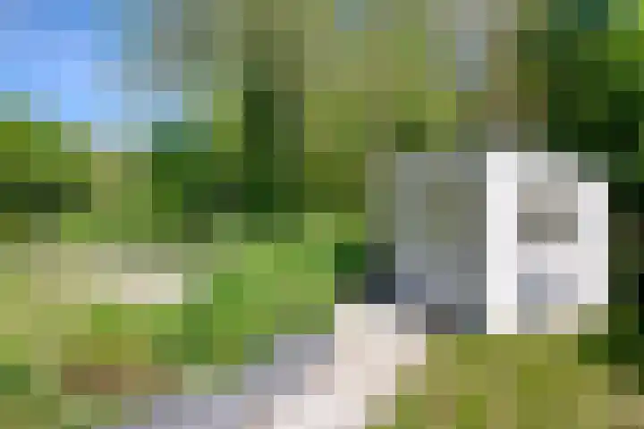 Warffumerweg 35 Onderdendam thumbnail 31