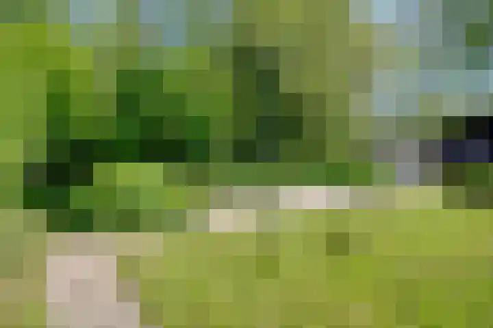 Warffumerweg 35 Onderdendam thumbnail 33