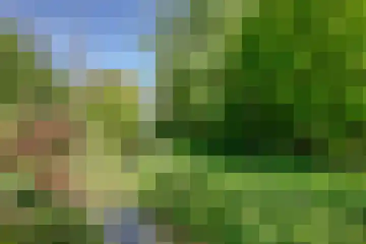 Warffumerweg 35 Onderdendam thumbnail 34