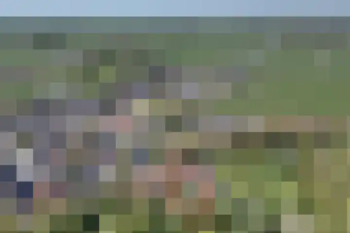 Warffumerweg 35 Onderdendam thumbnail 35