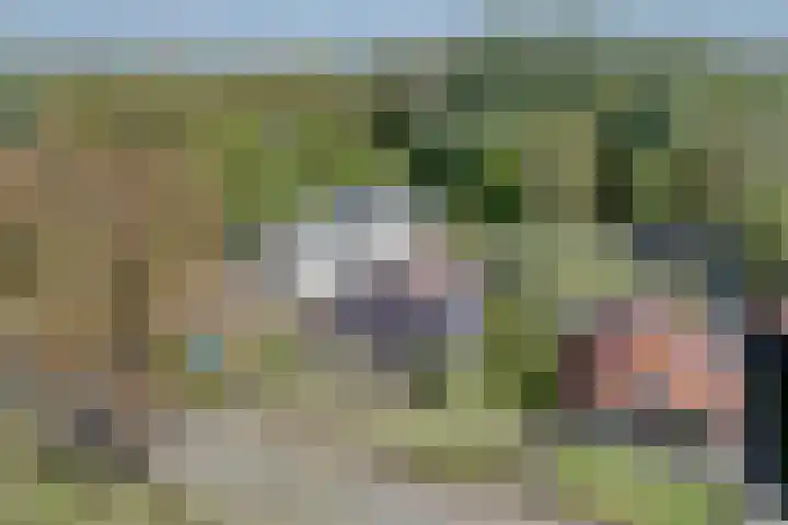 Warffumerweg 35 Onderdendam thumbnail 36