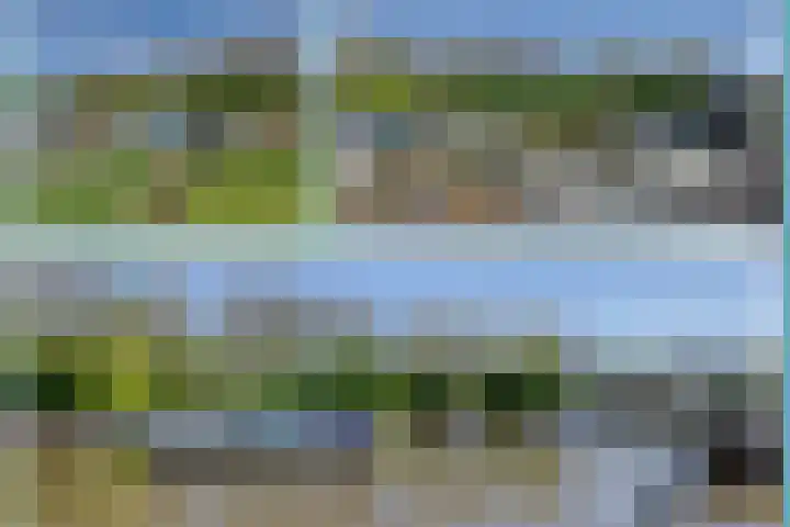 Warffumerweg 35 Onderdendam thumbnail 37