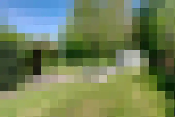 Warffumerweg 35 Onderdendam thumbnail 5