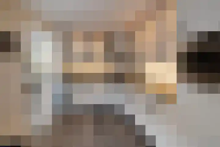 Warmelo 13 Raalte thumbnail 15