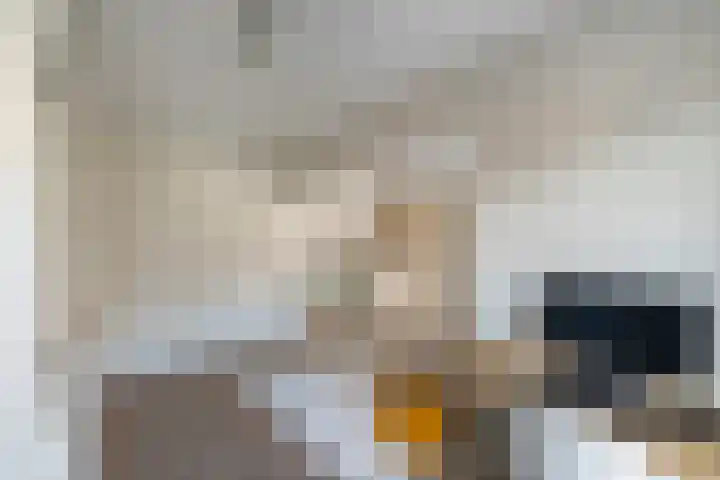 Warmelo 13 Raalte thumbnail 16