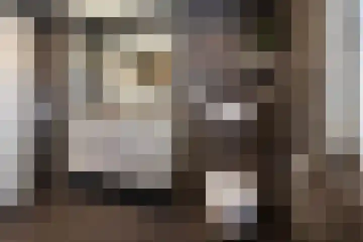 Warmelo 13 Raalte thumbnail 25