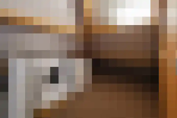 Warmelo 13 Raalte thumbnail 29