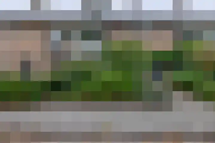 Warmelo 13 Raalte thumbnail 31