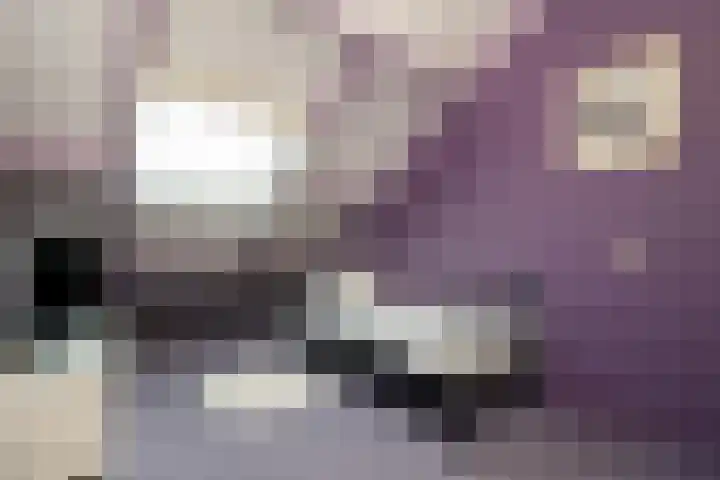 Warmelo 13 Raalte thumbnail 31