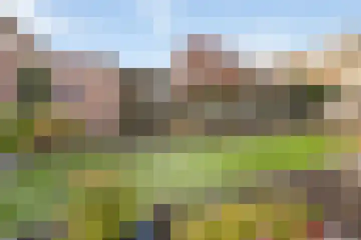 Warmelo 13 Raalte thumbnail 40