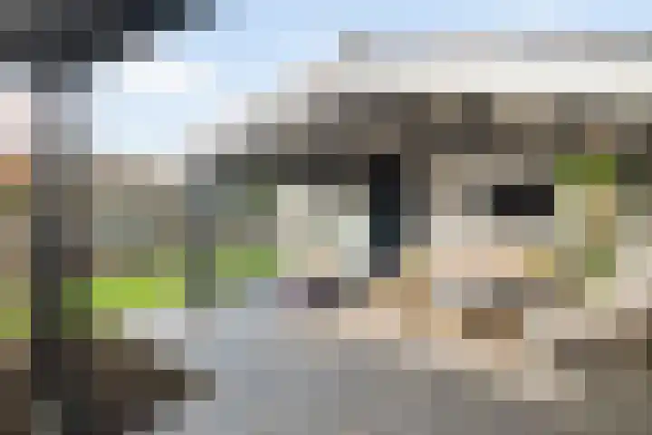 Warmelo 13 Raalte thumbnail 43