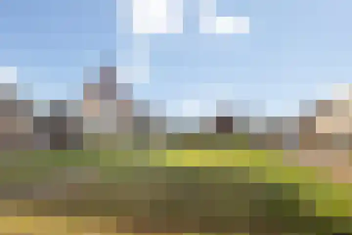 Warmelo 13 Raalte thumbnail 45