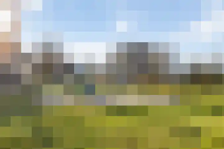 Warmelo 13 Raalte thumbnail 46