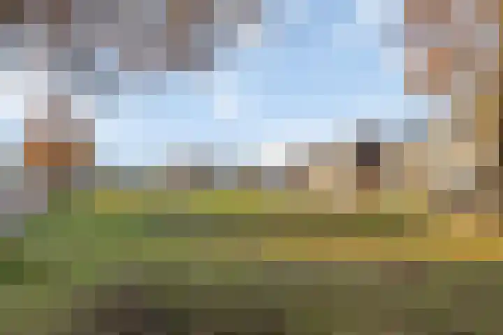 Warmelo 13 Raalte thumbnail 47