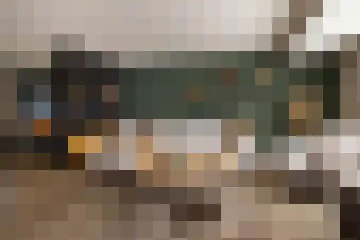 Warmelo 13 Raalte thumbnail 5