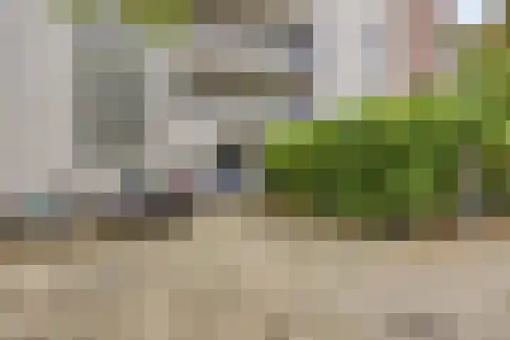 Warmelo 13 Raalte thumbnail 51