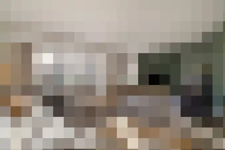 Warmelo 13 Raalte thumbnail 7