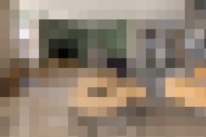 Warmelo 13 Raalte thumbnail 8