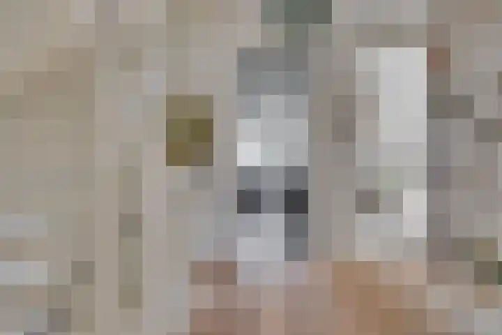 Warmelo 5 Leusden thumbnail 20