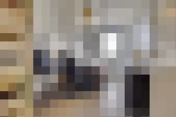 Warmelo 5 Leusden thumbnail 21