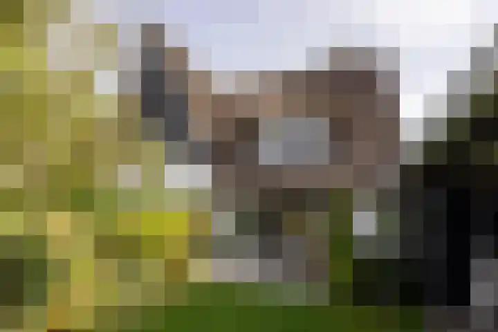 Warmelo 5 Leusden thumbnail 31