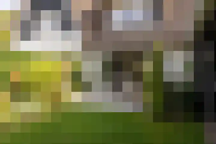 Warmelo 5 Leusden thumbnail 33