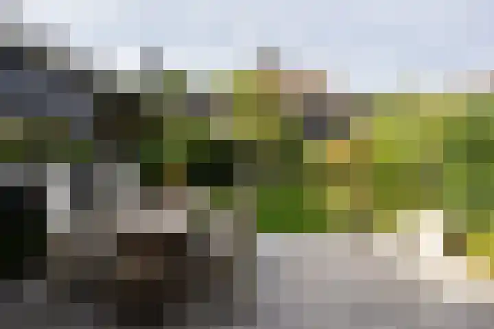 Warmelo 5 Leusden thumbnail 34