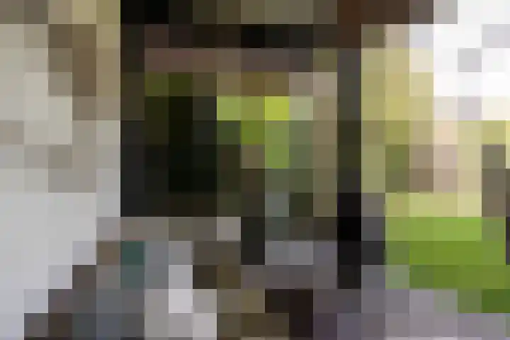 Warmelo 5 Leusden thumbnail 36