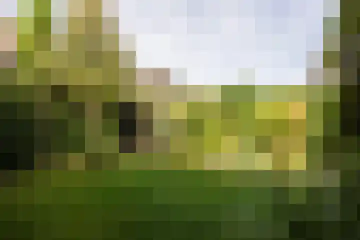 Warmelo 5 Leusden thumbnail 37
